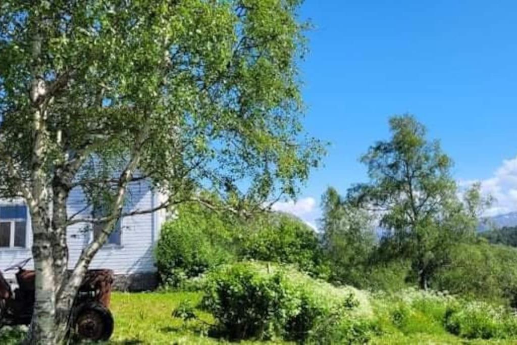 Appartement Skogan à Leirfjord Extérieur photo