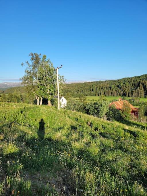 Appartement Skogan à Leirfjord Extérieur photo
