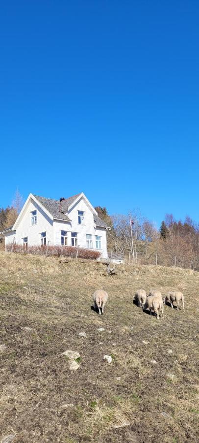 Appartement Skogan à Leirfjord Extérieur photo